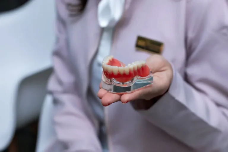 Dentist Holding A Model Of Human Teeth, Representing Top Family And Emergency Dental Care Services In Cypress And Katy.
